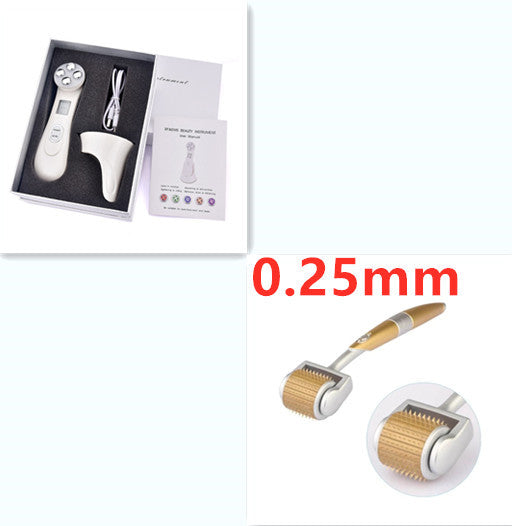 Multifunctional Skin Rejuvenation Device with EMS & LED
